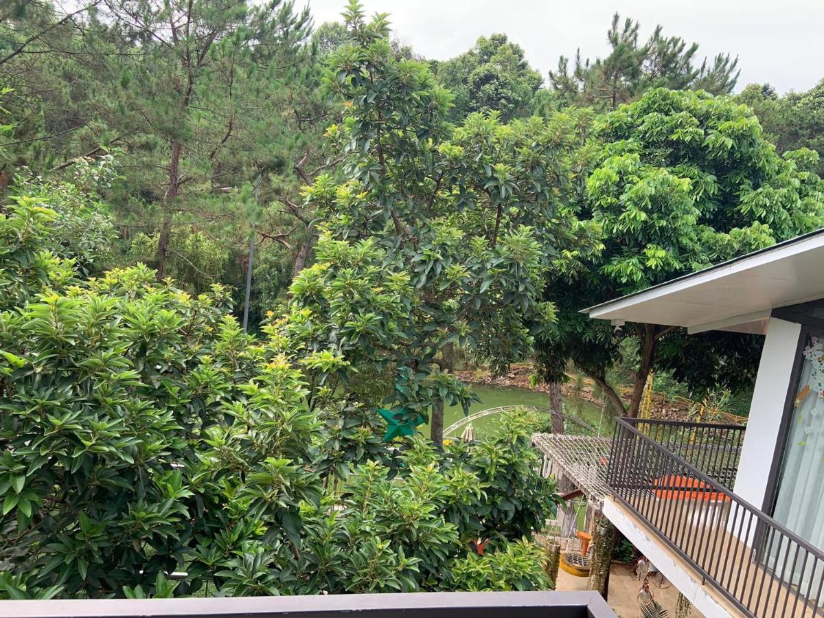 Lake View Homestay Pleiku Exteriér fotografie